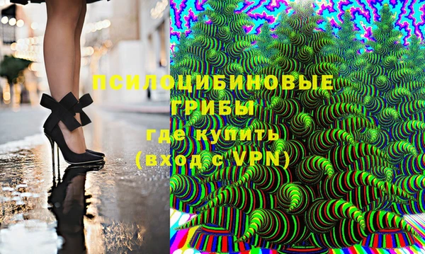 индика Алексин