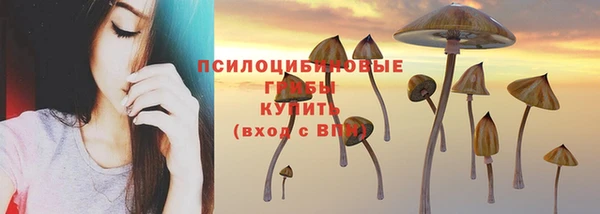 дживик Алзамай