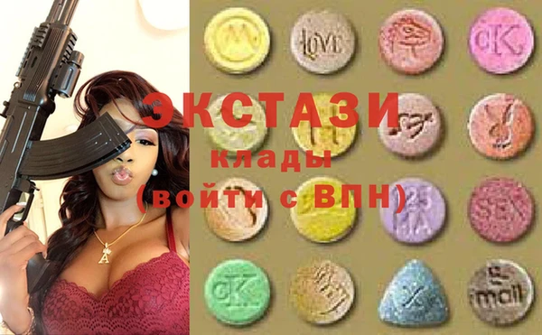 индика Алексин