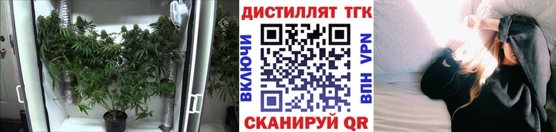 как найти закладки  Жиздра  Дистиллят ТГК THC oil 