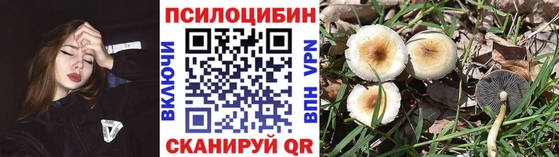 купить  цена  Жиздра  это Telegram  Галлюциногенные грибы мухоморы 